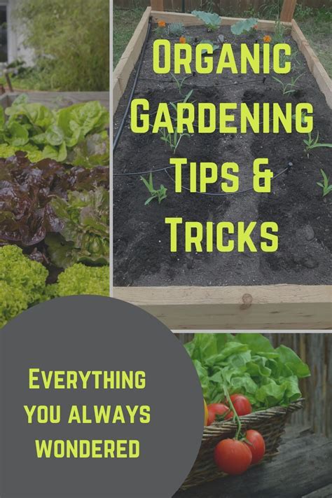 Organic Gardening Tips And Tricks Organic Gardening Gardening Tips