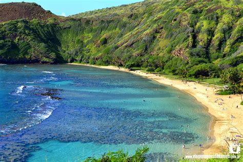 Viagens Que Sonhamos 5 Praias Imperdíveis No Havaí Na Ilha De Oahu
