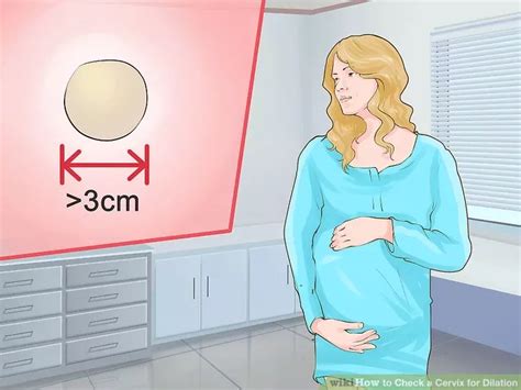 How To Check A Cervix For Dilation 15 Steps With Pictures Artofit