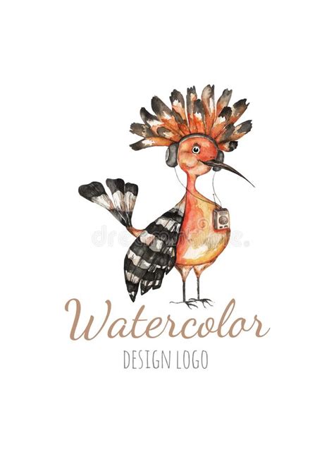 Watercolor Logo Templates Colorful Bird Hoopoe In Watercolor Technique