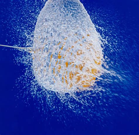 Closeup Shot Of A Water Balloon Splash With A Blue Background Stock