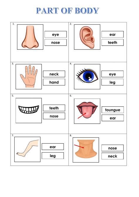 Part Of Body Ficha Interactiva Partes Del Cuerpo Preescolar Ingles