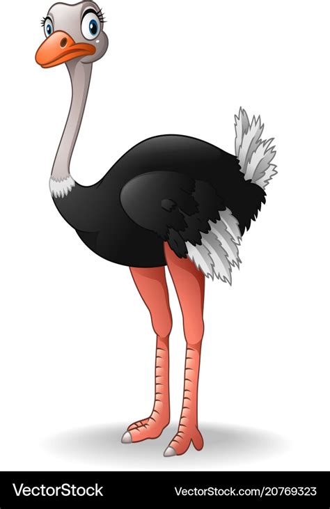 Cute Ostrich Cartoon Royalty Free Vector Image
