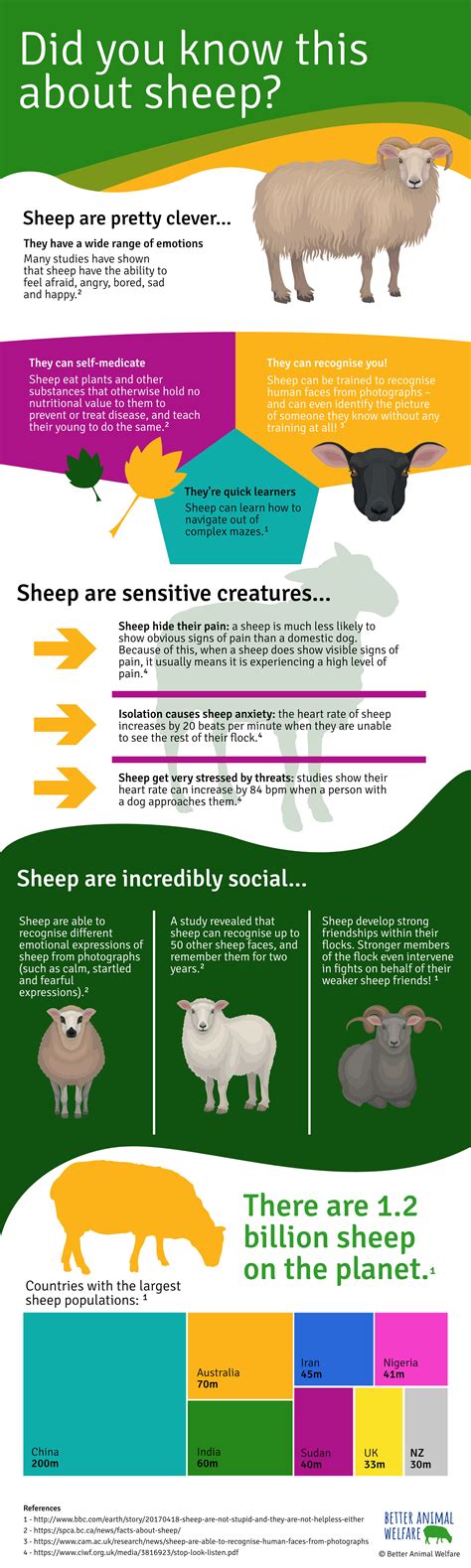 Interesting Sheep Facts And Statistics Infographic Facts About Sheep