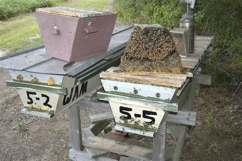 So it's a tropical hive? Opening Hives - 200 Top Bar Hives: The Low-Cost ...