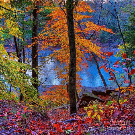 Beautiful Fall A Colors In Bucks County Pa Photograph By Jeremy Shusman