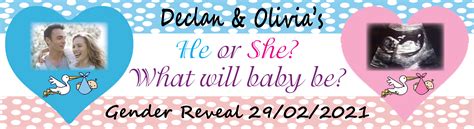 Gender Reveal Gender Reveal Party Banners Personalised Party Banners