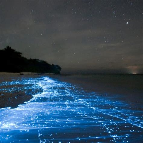 Sea Of Stars Vaadhoo Maldives Atlas Obscura