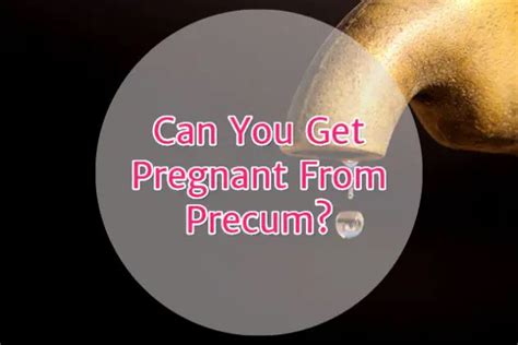 [updated] can you get pregnant from precum