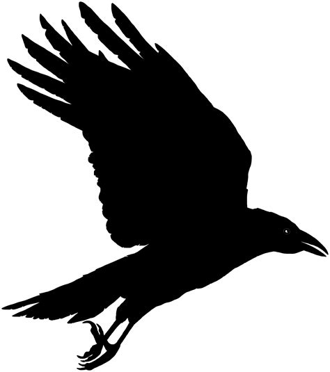 Free Raven Silhouette Download Free Raven Silhouette Png Images Free