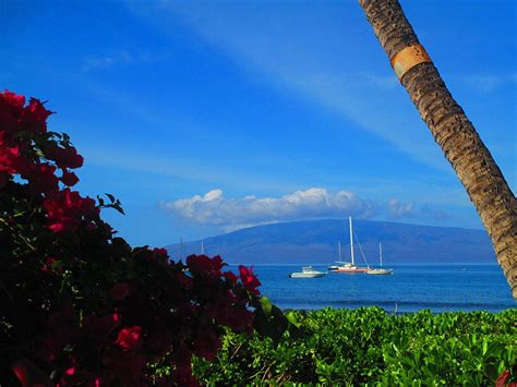 Maui Sailboats Photograph By Elaine Haakenson Pixels