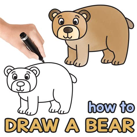 How To Draw A Bear Step By Step Drawing Tutorial En Vik News