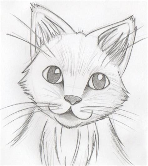 Instadesenh0arts Kitten Drawing Art Drawings Sketches Simple Art
