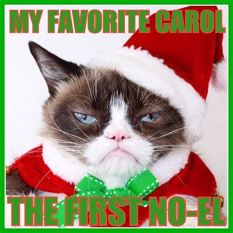 Cute Overload On Twitter Grumpy Cat Christmas Funny Grumpy Cat Memes