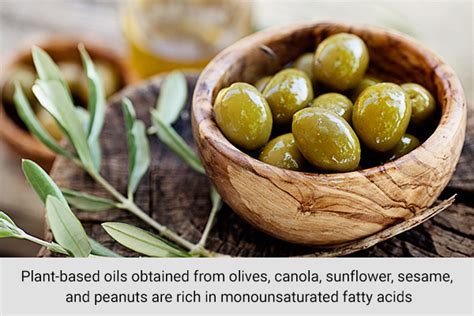 5 Reasons Monounsaturated Fatty Acids Are Good For You