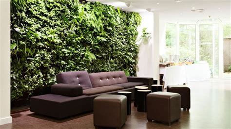 Ways Of Decorating Your Interior With Green Plants Home