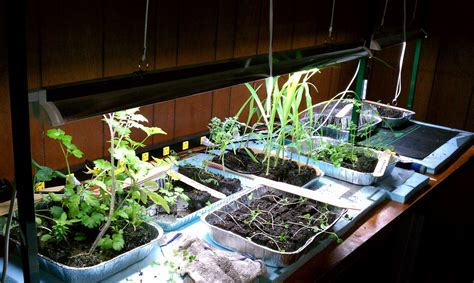 Keys To Lighting Your Indoor Gardening System Gardenerd