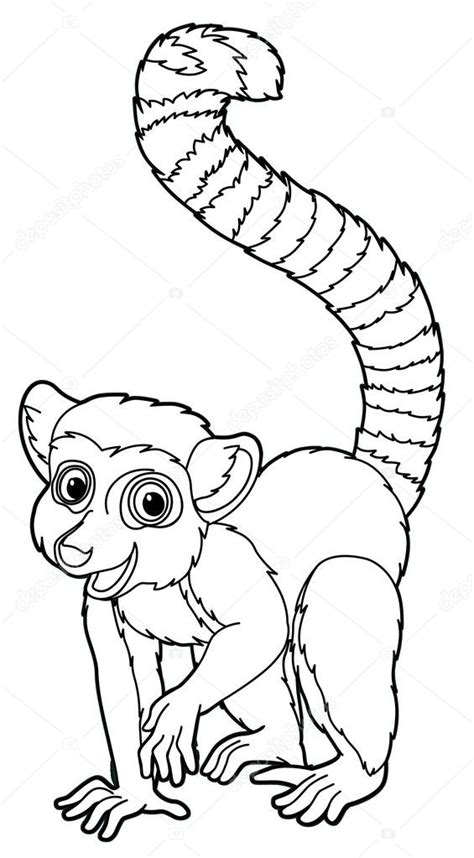 Ring Tailed Lemur Coloring Page Coloring Pages