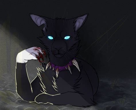 A Black Cat With Blue Eyes Sitting In The Dark