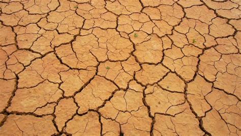 Dry Cracked Soil In A Desert Stock Footage Video 3586427 Shutterstock