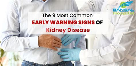 9 Most Common Early Warning Signs Of Kidney Disease Bansal Hospital