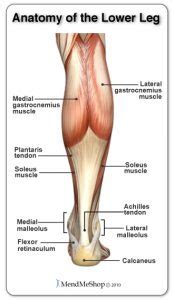 It's okay if your knee bends forward, so long as your foot stays flat. Calf Strain - Volleyball.Com
