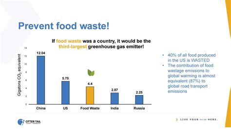 Experts say that food waste in america is the problem to talk about now. Food Waste Reduction | Otter Tail County, MN