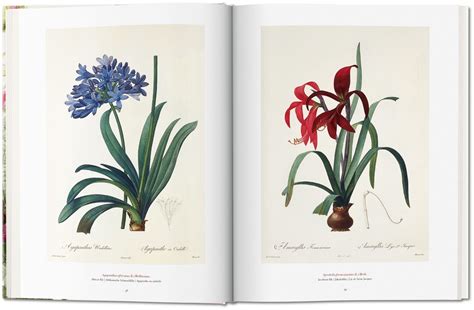 We did not find results for: Pierre-Joseph Redouté. The Book of Flowers. TASCHEN Books
