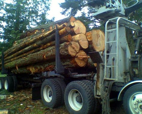 Firewood Log Truck Loads Logs Buy Wood Now Enumclaw Wa Patch