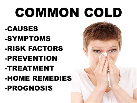 Common Cold Causes Symptoms Treatment Home Remedies My Health By Web