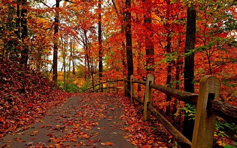 Free Screensaver Wallpapers For Fall Fall Desktop Backgrounds Fall
