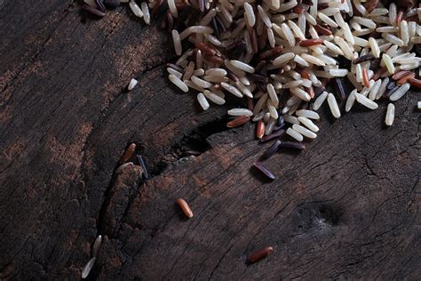 Gaba Brown Rice Explained Greedypanda Foodie Blog