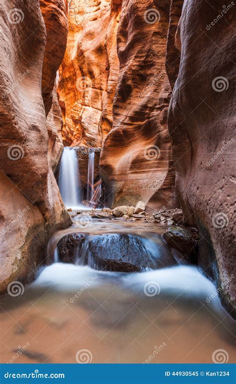 Kanarra Creek Slot Canyon In Zion National Park Utah Stock Image Image Of Narrow Slot