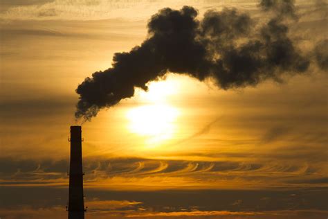 Meps Back Plans To Cut Carbon Emission Allowances And Fund Low Carbon