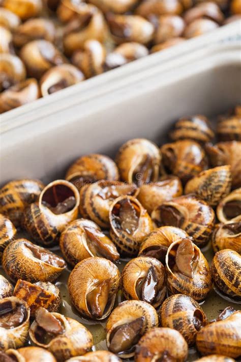 Cooked Snails Stock Image Image Of Spice Tapas Recipe 27600555