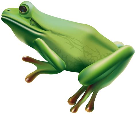 Frog Png Transparent Clip Art Image Gallery Yopriceville High