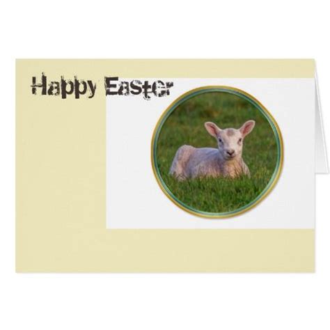 Easter Spring Lamb Greeting Card Spring Lambs Easter Cards Cards