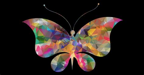 Butterfly 4k Wallpapers Top Free Butterfly 4k Backgrounds