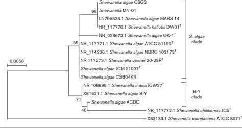 Figure 1 From Whole Genome Sequencing Reveals That Shewanella Haliotis