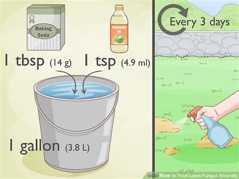 11 Simple Ways To Treat Lawn Fungus Naturally Wikihow