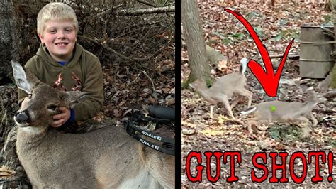 How To Successfully Recover A Gut Shot Deer Youtube