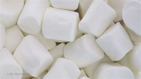 Buy Marshmallows White 800g Online Lolly Warehouse