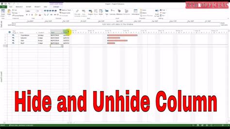 Ms Project Tutorial How To Hide And Unhide Insert Any Column Ntd