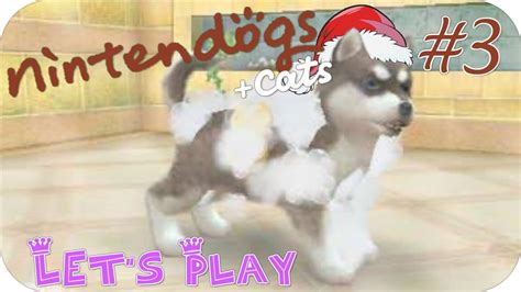Lets Play Nintendogs Cats Golden Retriever 3 Buon Natale