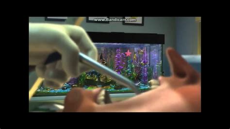Finding Nemo Dental Scene Youtube Gambaran