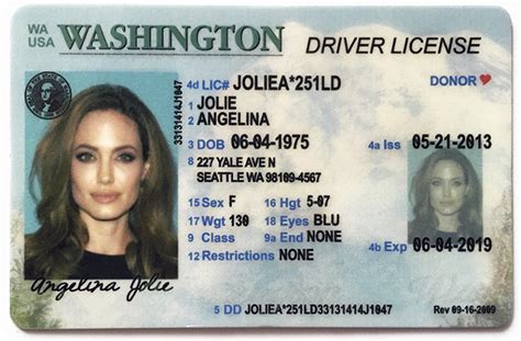 United States Drivers Licenses Valid Documents