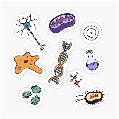 Biology Sticker For Sale By Dearllibra Science Stickers Medical