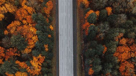 Download Wallpaper 1920x1080 Road Forest Aerial View Highway Trees