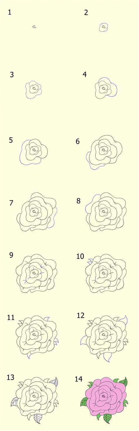 Cara Membuat Gambar Bunga Yang Mudah