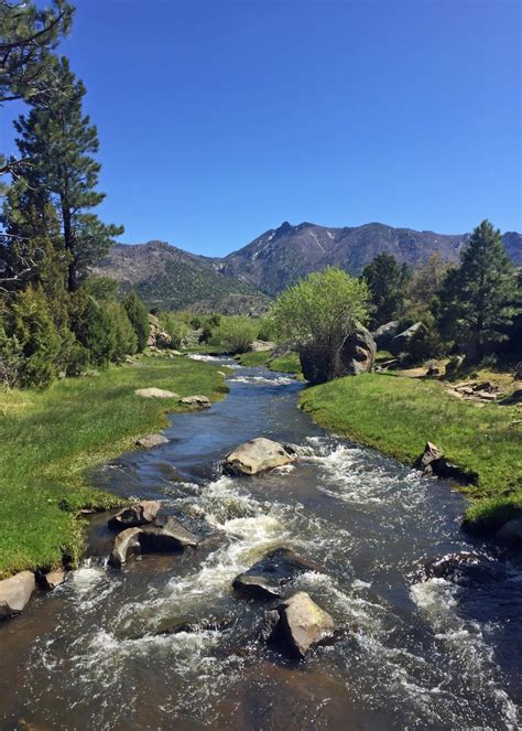 Southern Utahs Pine Valley Recreation Area Fisherdad